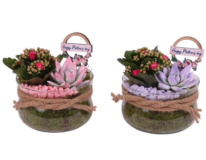 <h4>Mothersday Arr. Indoor Glass Bowl Ø16cm 2PP</h4>