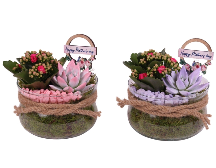 <h4>Mothersday Arr. Indoor Glass Bowl Ø16cm 2PP</h4>