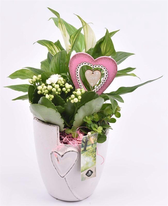 <h4>Keramiek pot met hart 12.5CM</h4>