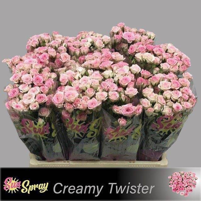 <h4>R Tr Creamy Twister Sun Spray</h4>