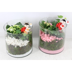 arr2 PL - Glas cilinder 15x15 - roze/wit