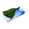 Aspidistra