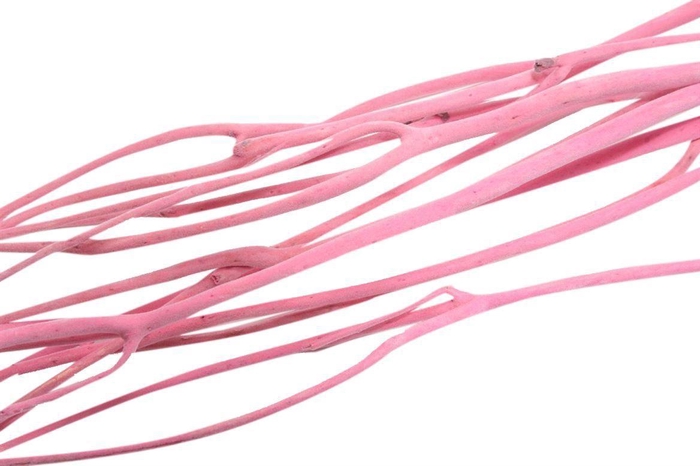 <h4>Mitsumata Flaked Light Pink 3pc Bunch</h4>