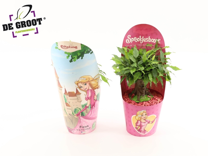 <h4>Sprookjesboom Assepoester OV</h4>