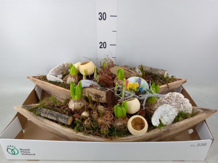 <h4>Arr. Bol/Knolgewas L%</h4>