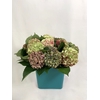 HYDRANGEAS AUTUMN II