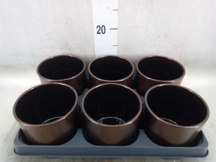 <h4>Pot   ...Keramische H%</h4>