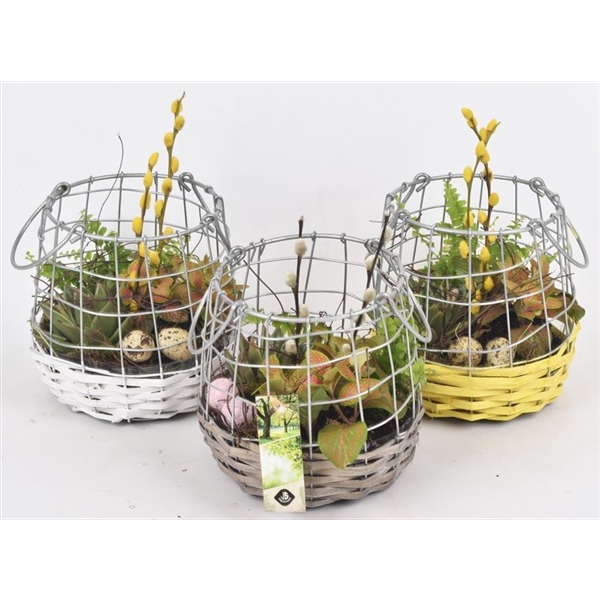 <h4>Willow metaal korf mix kl17cm</h4>