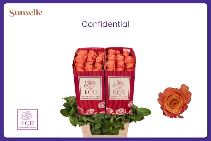 <h4>R GR CONFIDENTIAL</h4>