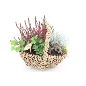 arr4 Outdoor PL - Hengselmand 285/4