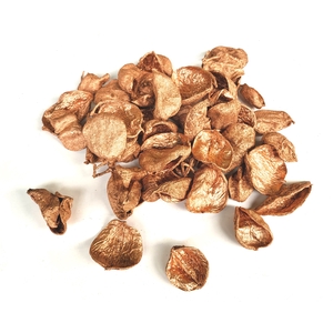 Land lotus petal 500gr in poly Copper