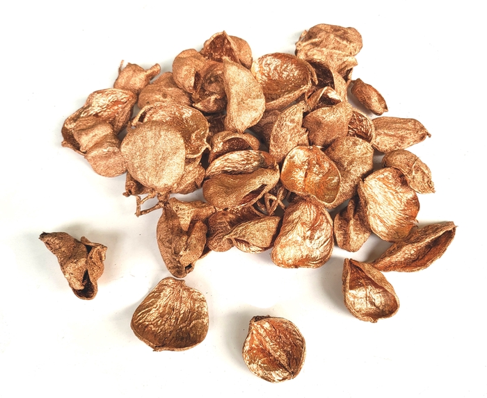 Land lotus petal 500gr in poly Copper