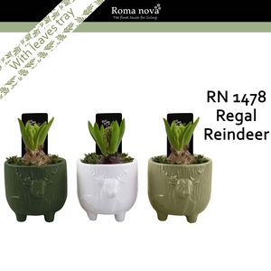 Hya Rom 1478 Regal Reindeer