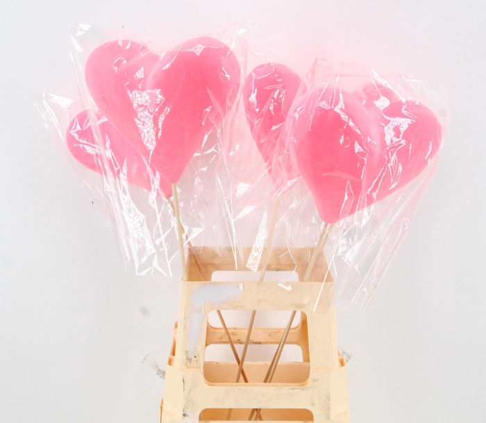 <h4>HARTJE OP STOK H%</h4>