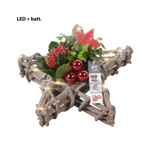 PTKB9343 Arrangement Kerst in hout ster