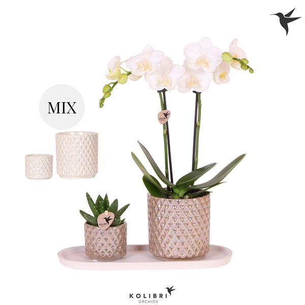 <h4>Kolibri Gift Set small Diamond</h4>