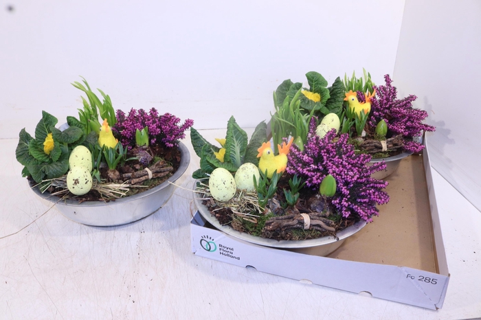 <h4>ARR TUINPLANTEN</h4>