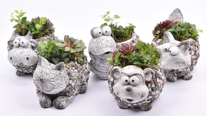 <h4>Dier figuren mix van 6</h4>