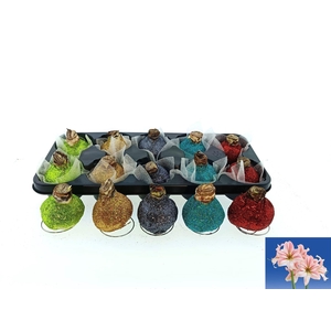 BLOEMBOL HIPPEASTRUM