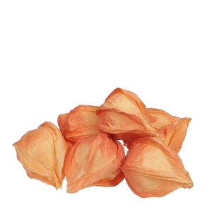 Herfst Deco Physalis 5cm x24