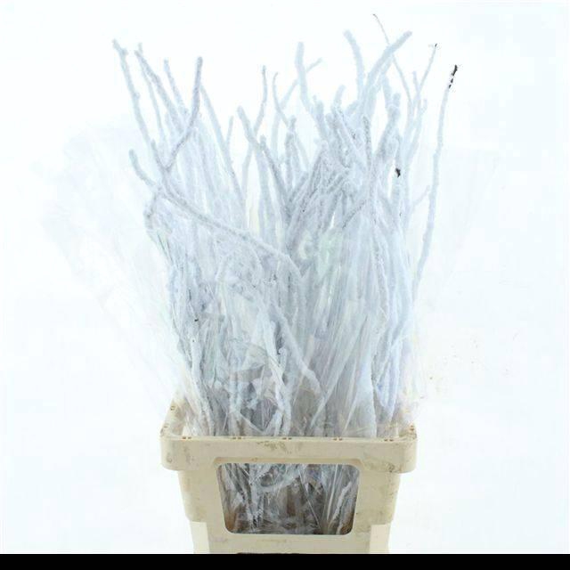 <h4>DECOGROEN OV KLB H%</h4>