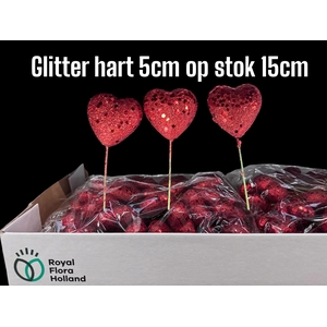 HUIS EN TUINDECO H%
