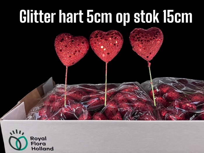 <h4>HUIS EN TUINDECO H%</h4>