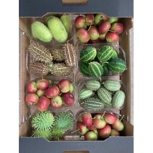 SIERVRUCHTEN MIX BOX