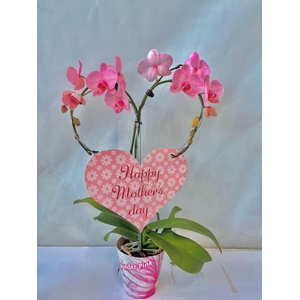 Moederdag 12 cm pot kleine hartjes steker