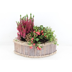 arr4 Outdoor PL - Hout kano 338/4