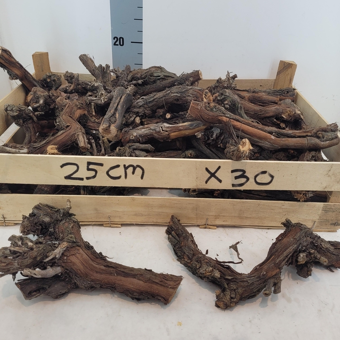 <h4>HUIS EN TUINDECO OV</h4>