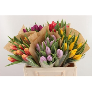 Boeket Tulp In Zak (mix)