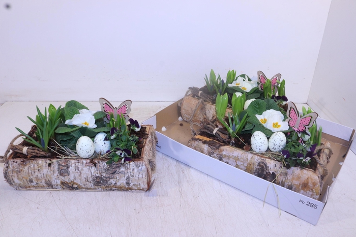 <h4>ARR TUINPLANTEN</h4>