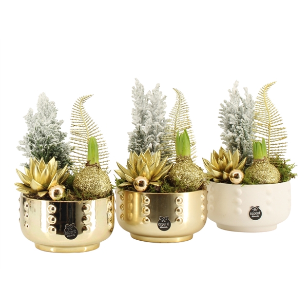 <h4>Arrangementen kamerplanten 6%</h4>