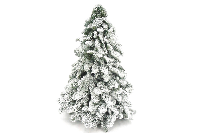 <h4>Kerstboom Nobilis Sneeuw 60cm</h4>