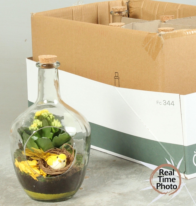 <h4>ARR KAMERPL</h4>