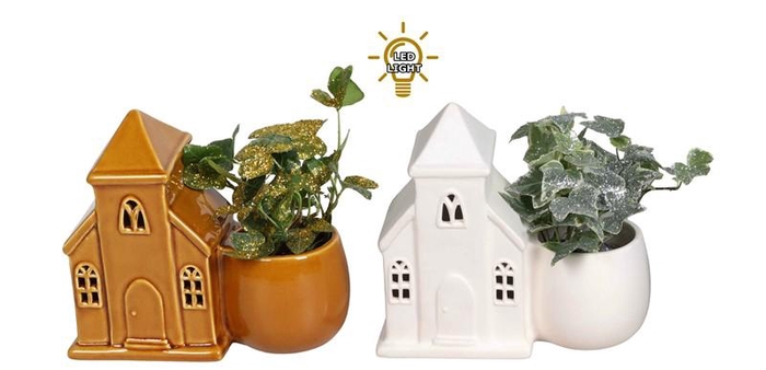 <h4>HEDERA HELIX</h4>