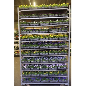 Vio Co Mixk 1 Kleur Per Tray