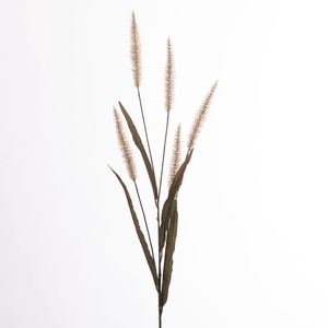 AF Pennisetum x4 L133cm Cream