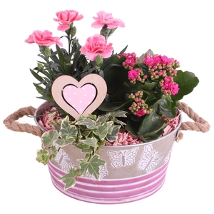 Mothersday Arr. Outdoor Zinc Butterfly Pot Ø21cm 3PP
