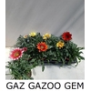 Gaz Gazoo Gem