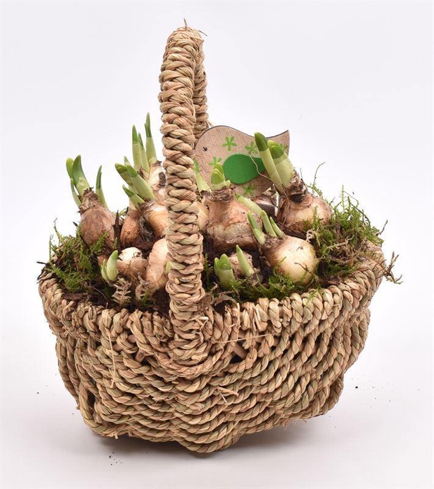 <h4>Wilg tasje 21x15cm</h4>