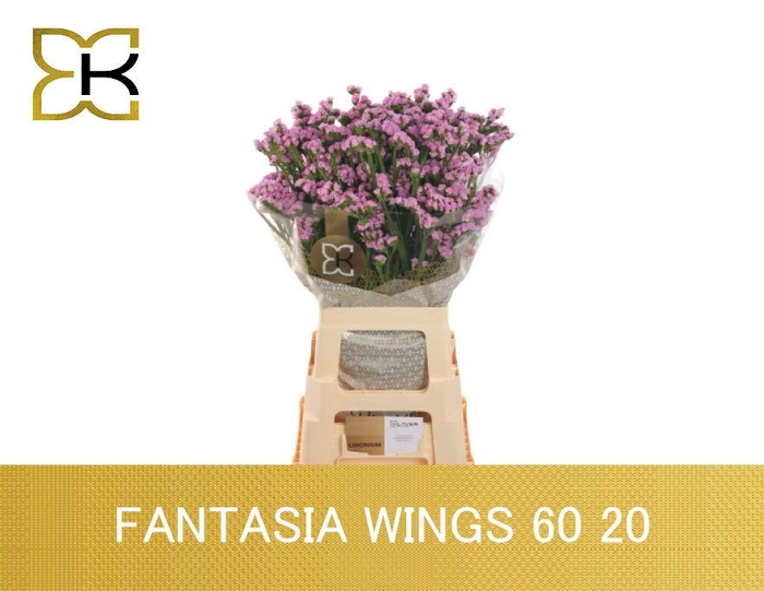 LIM S FANTASIA WINGS