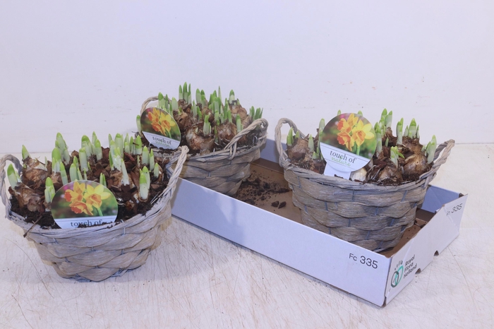 <h4>ARR N TETE A TETE</h4>