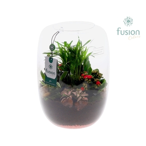 Green Bottle Isabella XLarge Love met arrangement