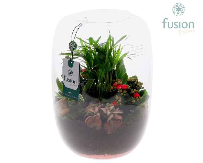 <h4>Green Bottle Isabella XLarge Love met arrangement</h4>