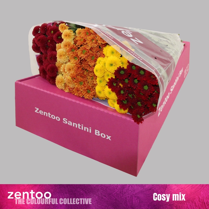 <h4>CHR S MIX COSY</h4>