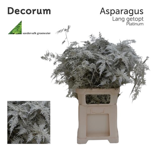 <h4>Asp lang getopt Platinum</h4>