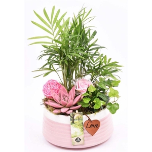 Keramiek schaal roze met label 16cm