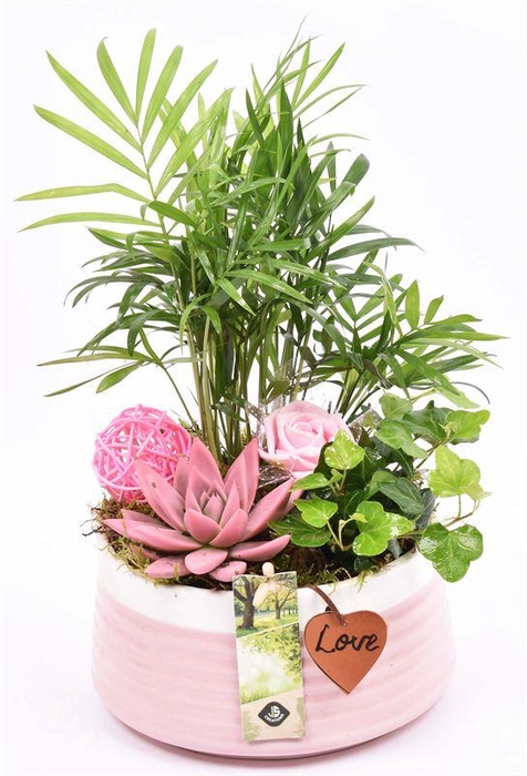 <h4>Keramiek schaal roze met label 16cm</h4>